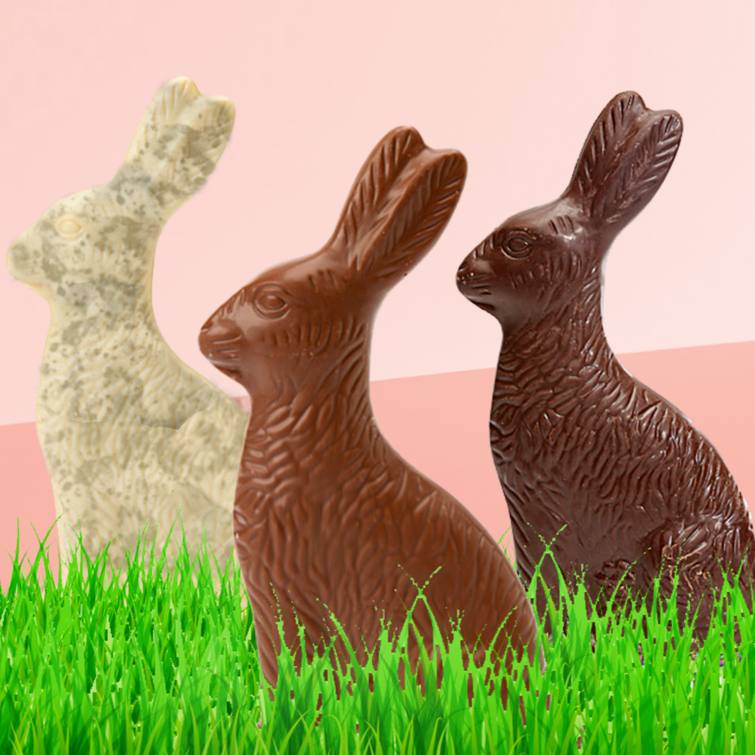 Chocolate Bunnies